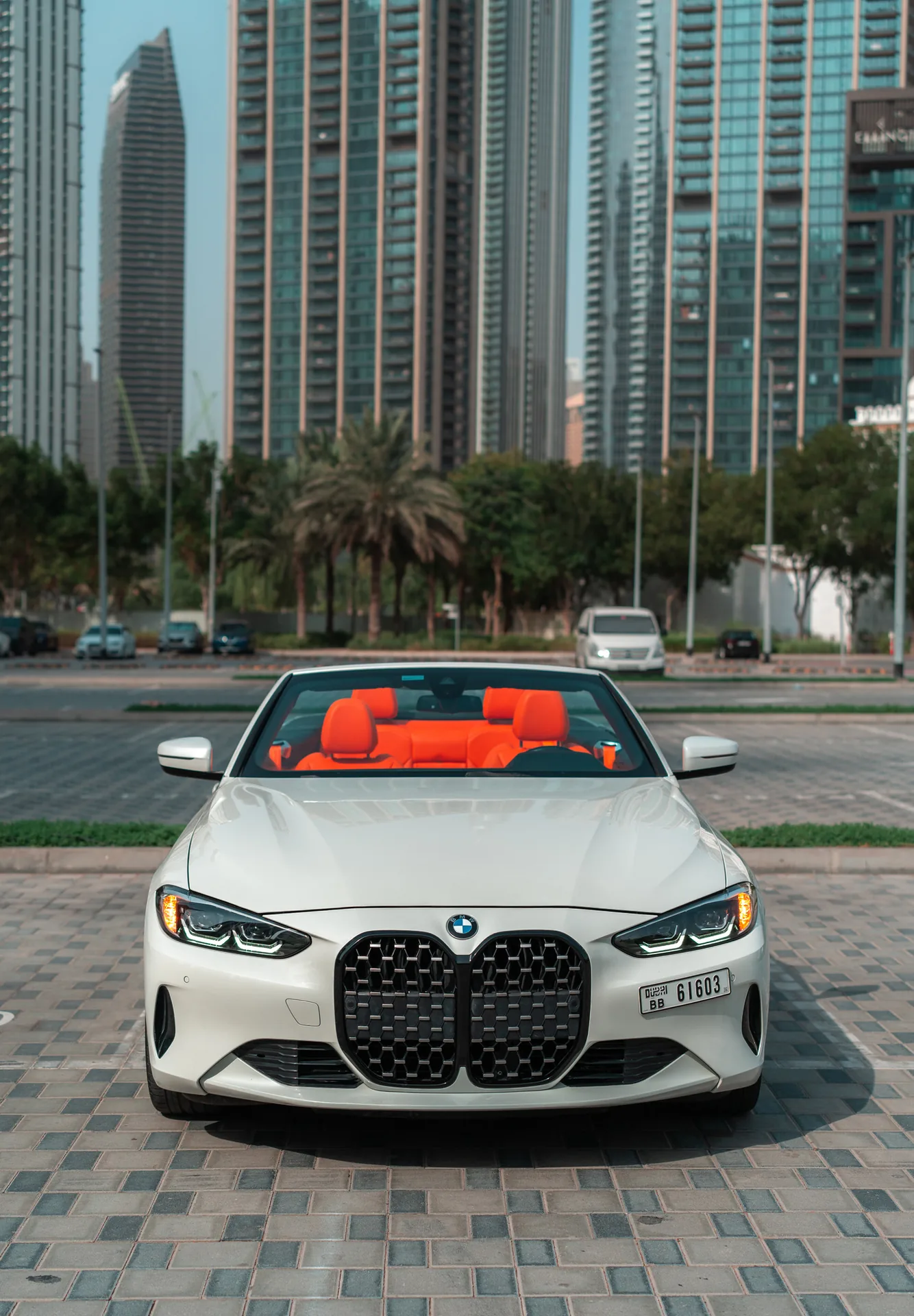 BMW 430i Cabrioletriolet interior