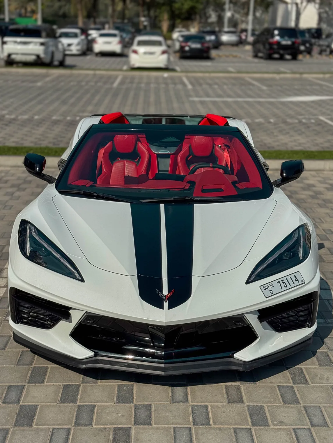 Corvette C8 White Auto Roof exterior