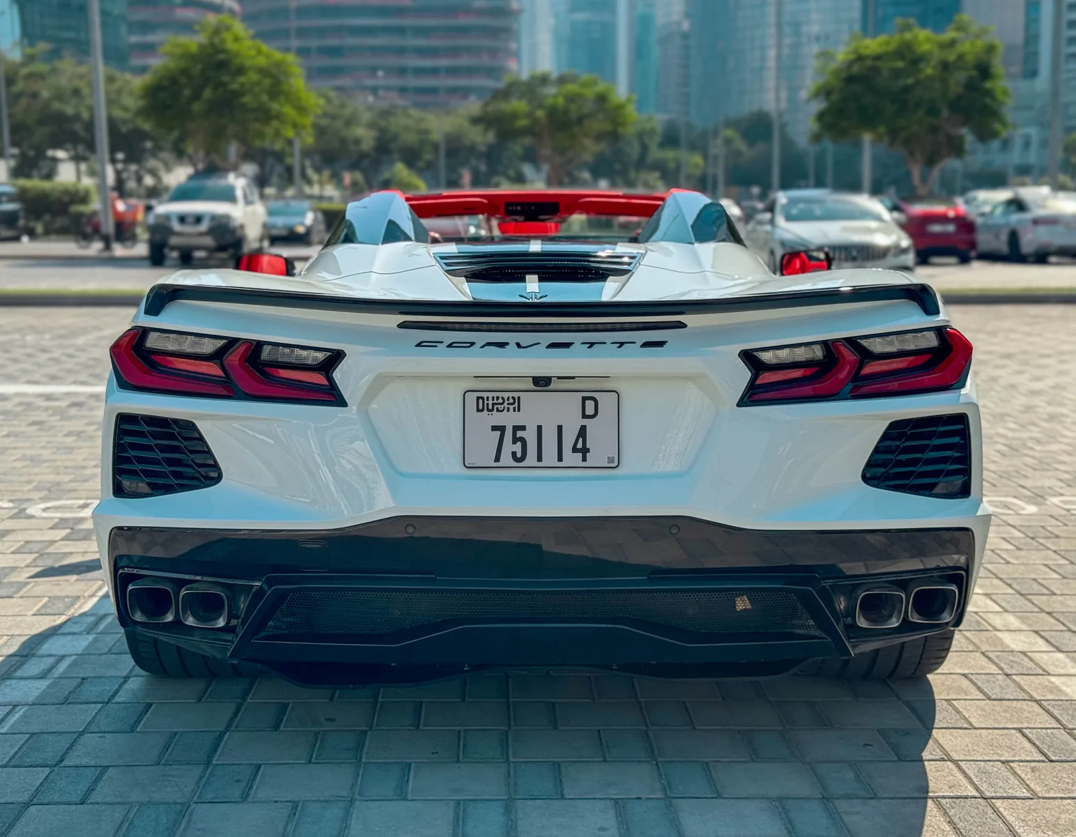 Corvette C8 White Auto Roof exterior