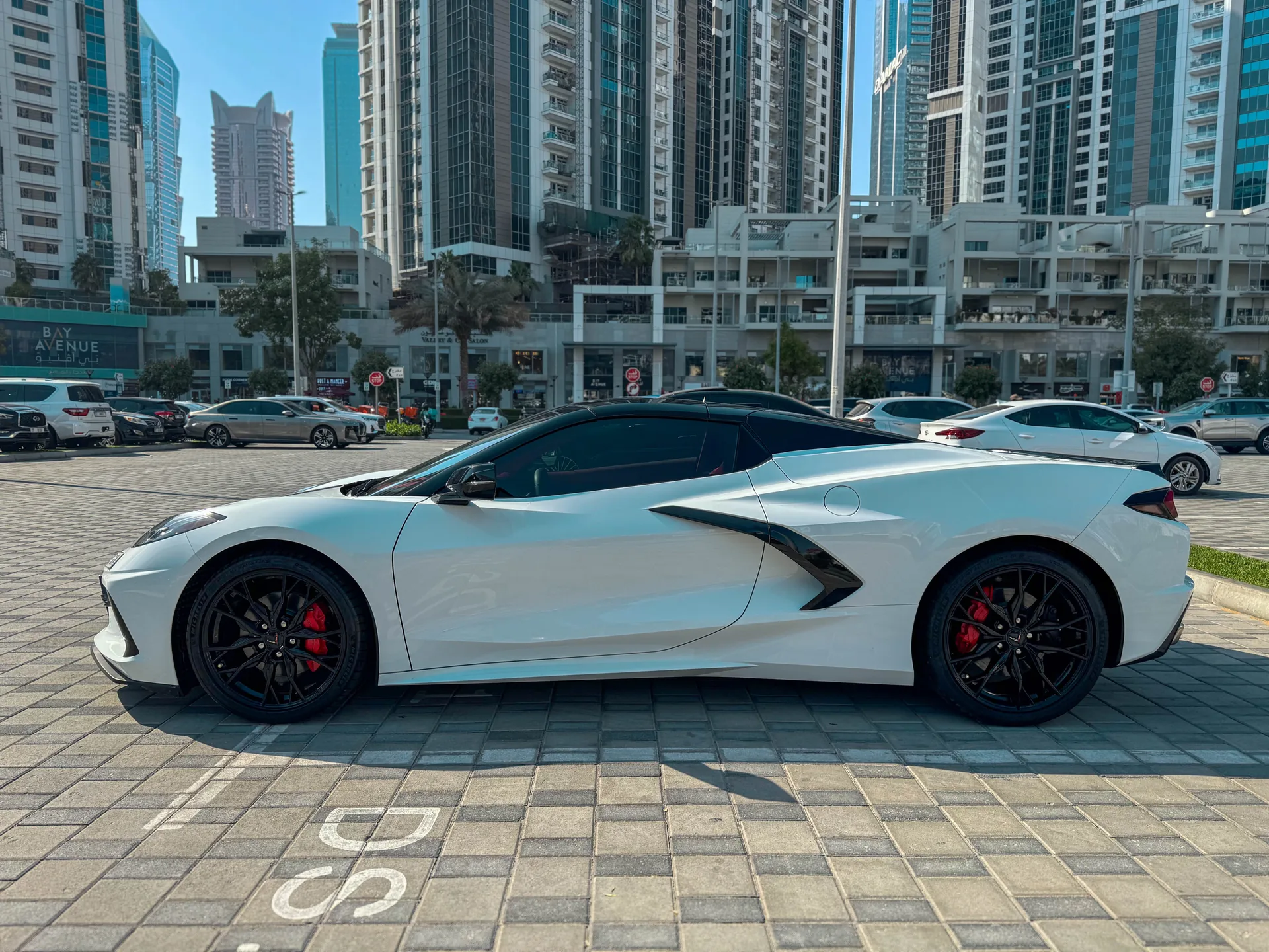 Corvette C8 White Auto Roof exterior