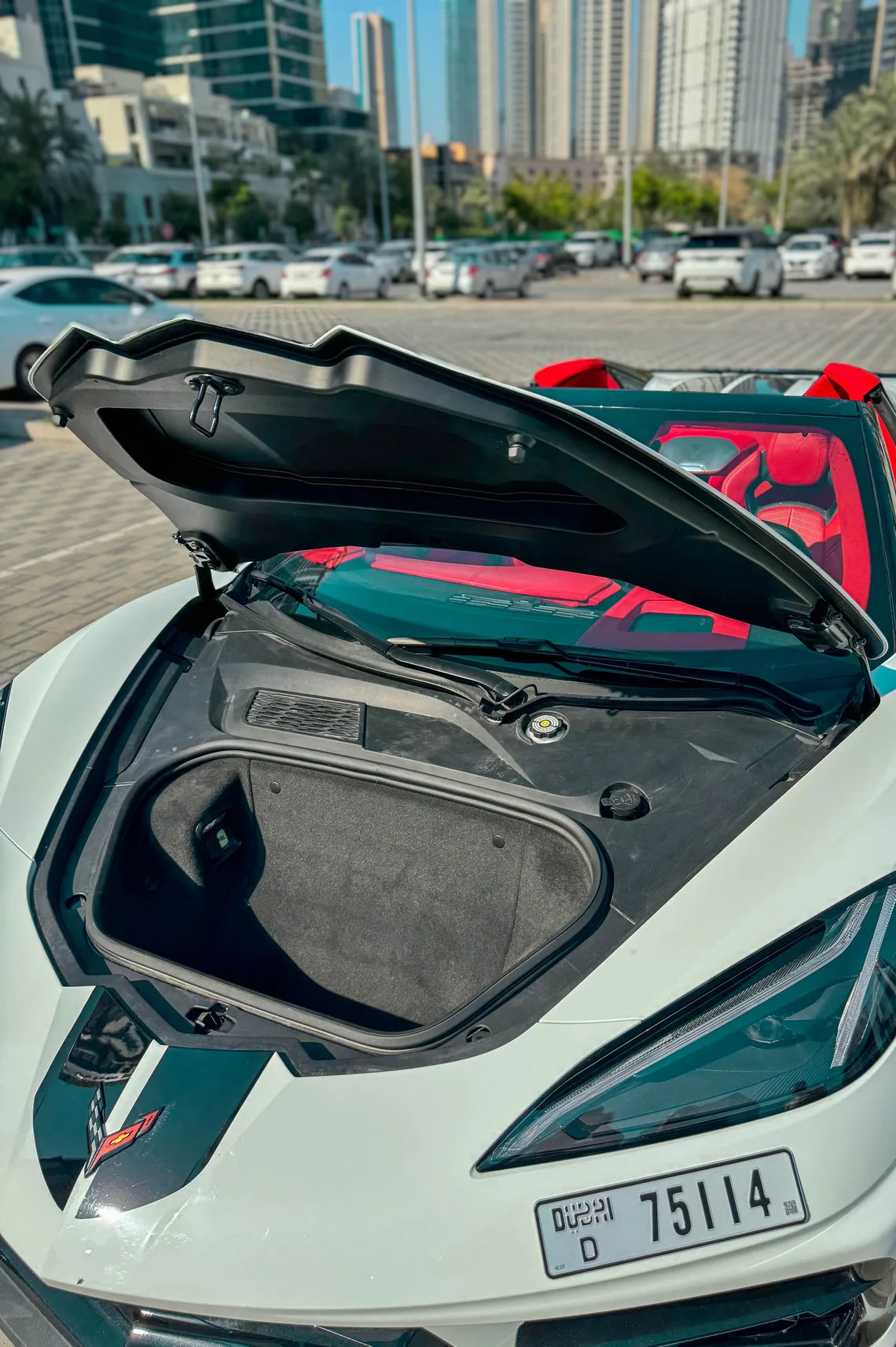 Corvette C8 White Auto Roof interior